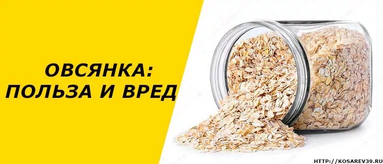 Вред овсяной каши на воде. Овсянка польза. Что полезного в Овсянке. Польза овсянки для организма. Полезность овсянки.