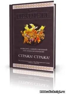 Стража стража аудиокнига клюквин