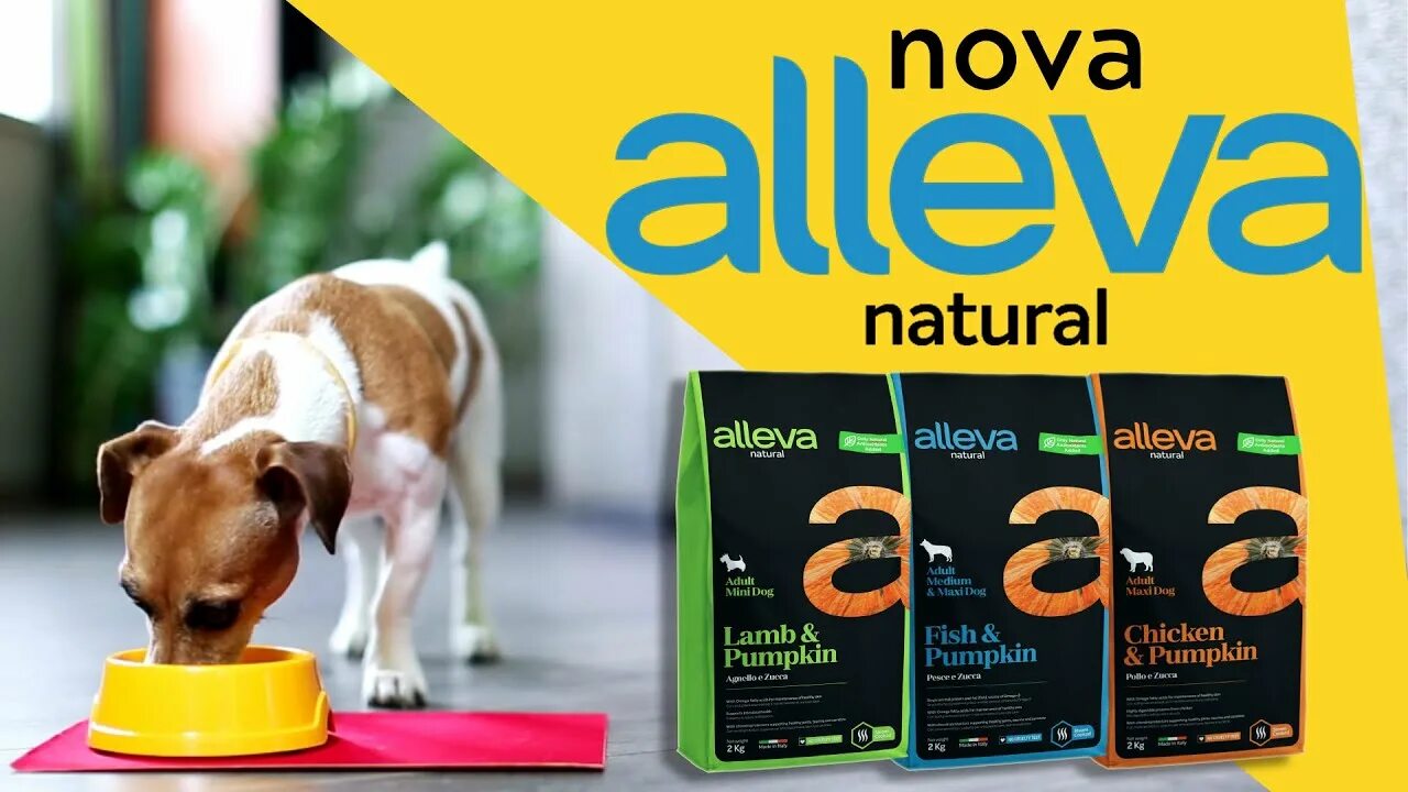 Аллева необридер. Корм для собак Alleva natural. Холистик Aleva. Аллева корм баннер. Alleva для собак купить