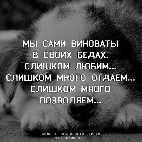 Виновата точка. Мы сами виноваты. Мы сами виноваты в своих. Виновата виновата сама. Человек сам виноват в своих бедах.