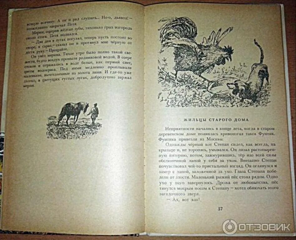 Паустовский заячьи лапы отзыв. Маленький рассказ Паустовского. Паустовский заячьи лапы книга. Заячьи уши рассказ Паустовского. Книга Паустовского про собаку.