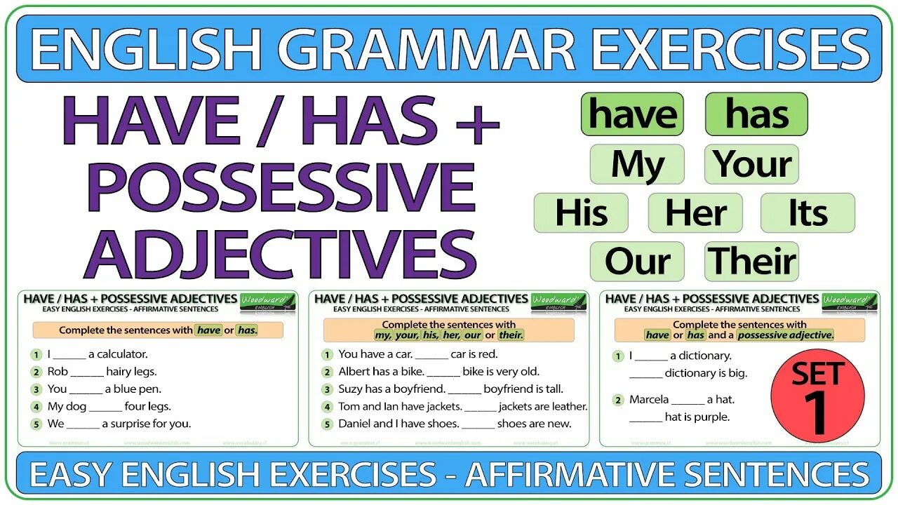 Have has grammar exercises