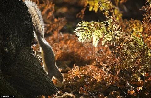 Wildlife wonderland