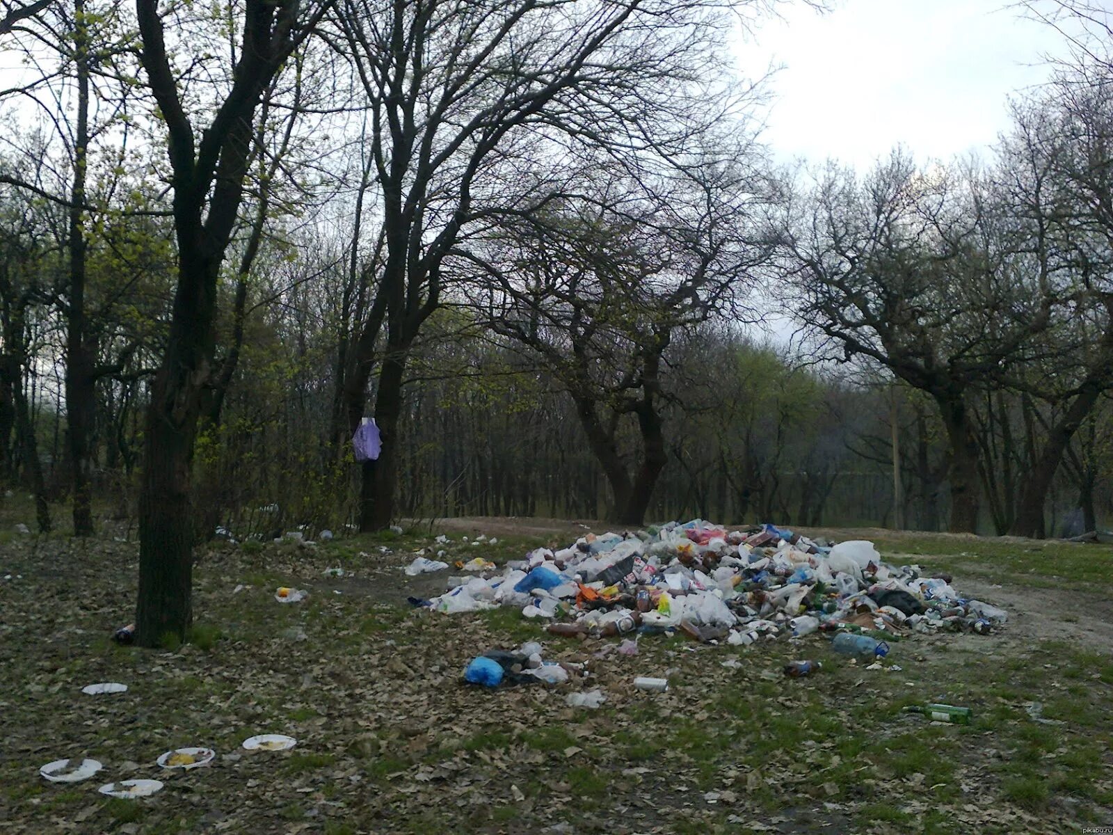 Загрязнение природы. Загрязненная природа. Грязная природа. Засорение природы. Замусоренная природа.