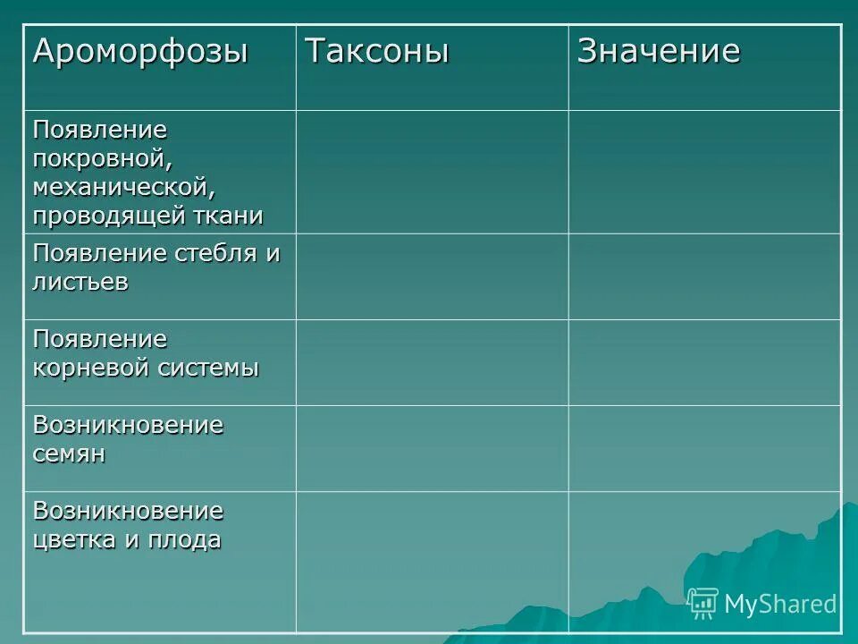 Ароморфозы эры палеозой. Ароморфозы растений и животных таблица. Ароморфозы растений таблица. Возникновение цветка и плода Таксон. Ароморфоз характеристика и примеры.