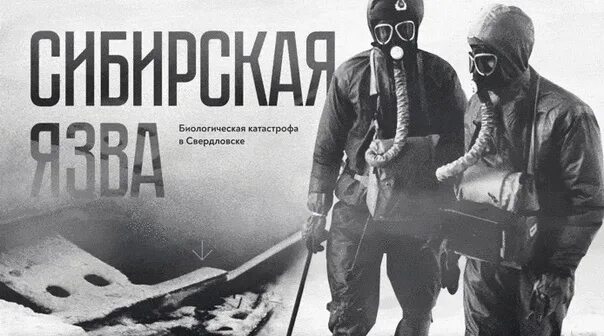 Эпидемия сибирской язвы в свердловске в 1979. Эпидемия сибирской язвы в екатеринбурге в 1979. Эпидемия сибирской язвы в свердловске в 1979. Свердловск 1979 сибирская язва. Эпидемия сибирской язвы в свердловске в 1979.