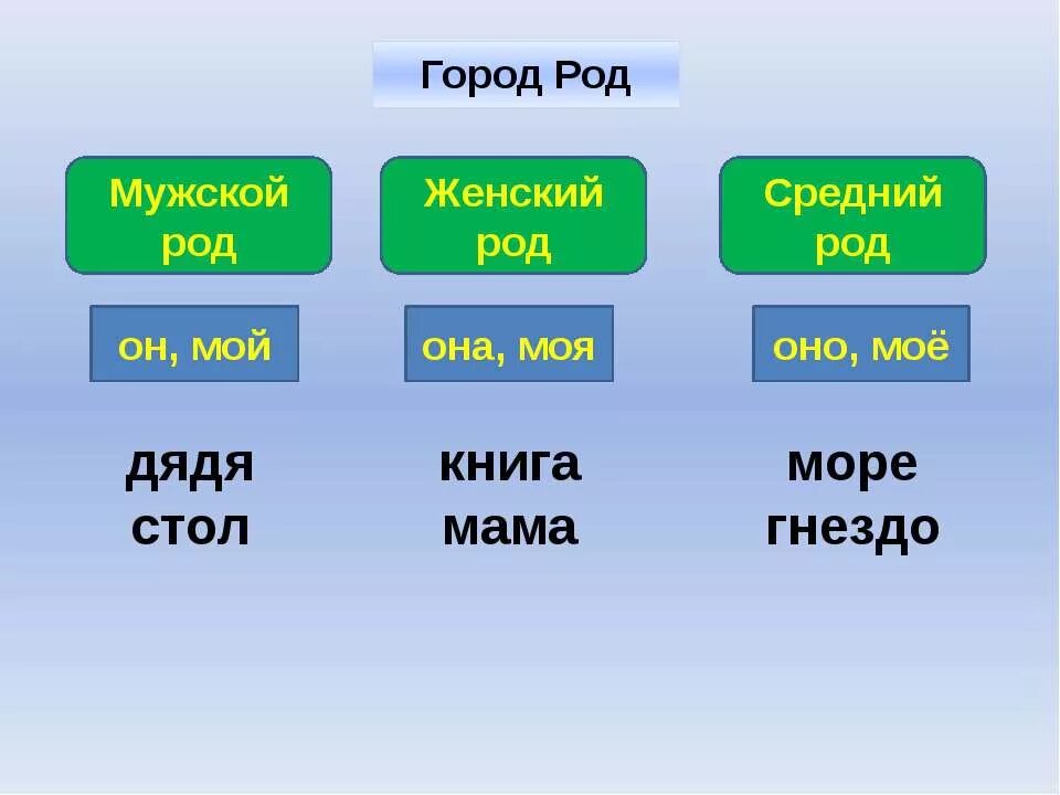 Книга мужской род