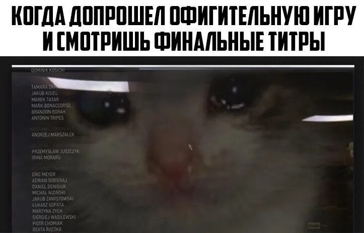 Титры пошли. Титры мем. картинка с титрами мем. титры из мемов. титры прикол.