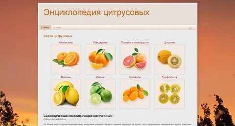 Виды цитрусовых плодов