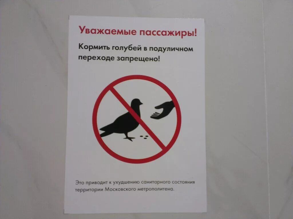 Штраф за кормление животных. Кормление голубей запрещено. кормление голубей запрещено табличка. не кормите голубей объявление. объявление о запрете кормления птиц.