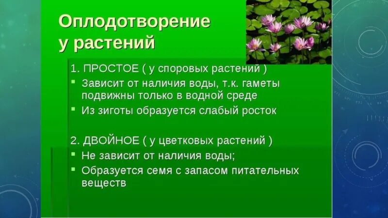 Оплодотворение у животных и растений. Оплодотворение у животных и растений кратко. Виды оплодотворения у растений. Оплодотворение у цветковых растений. Какая ботаническая наука изучает процесс оплодотворения