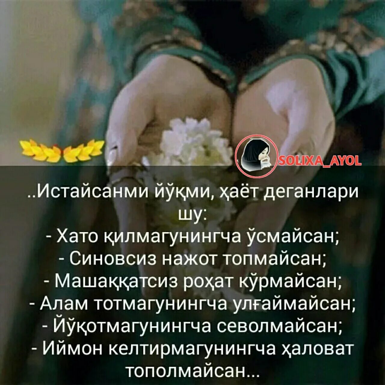 Узбекские цитаты. Картинка шерлар. Статус хаёт хакида. Афоризм расмлар.