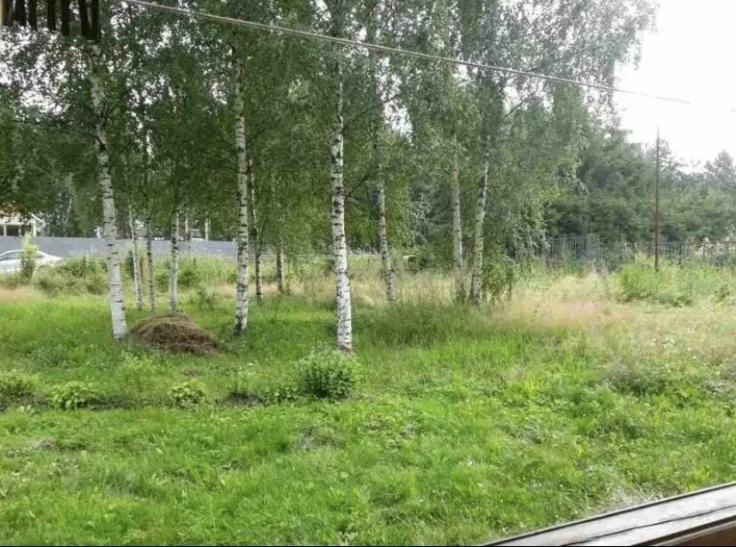 Поповка красный бор. Станция поповка красный бор. Станция поповка ленинградская область. Станция поповка красный бор. Усадьба поповка гумилевых.