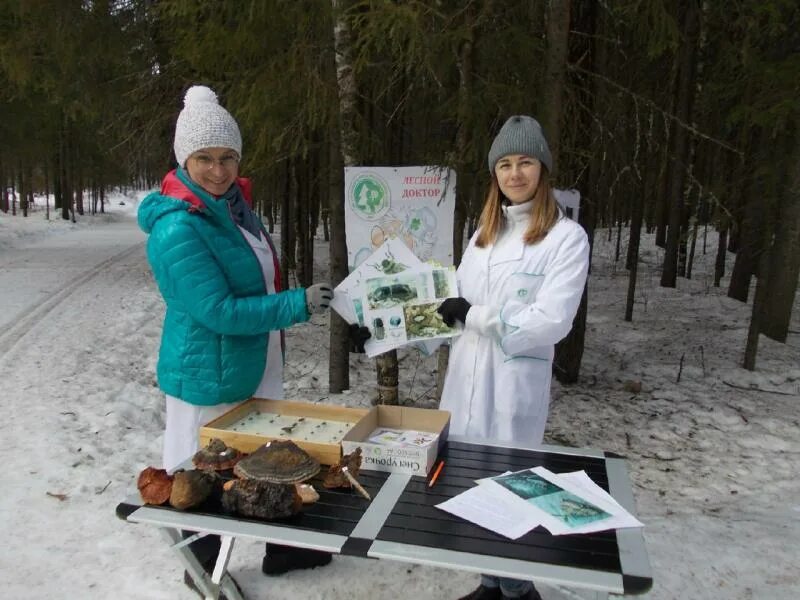 Лесной конкурс это интересно. Международный день леса плакат. День леса конкурсы. Конкурс лес. Российский день леса.