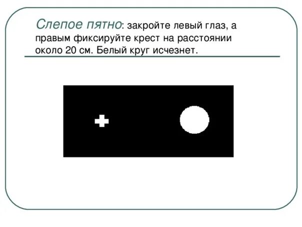 Точка лежащая зрение. Опыт Мариотта слепое пятно. Рисунок для выявления слепого пятна. Обнаружение слепого пятна опыт Мариотта. Слепая зона глаза.