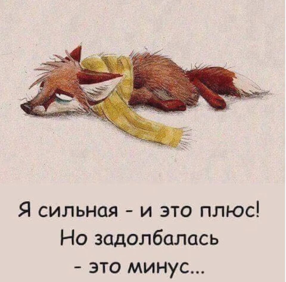 Уставший котенок. Завтра на работу прикол. Устал картинки. Красивые спящие девушки. Котенок со шваброй.