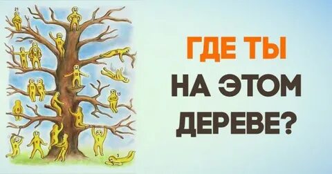 Выбери минуту