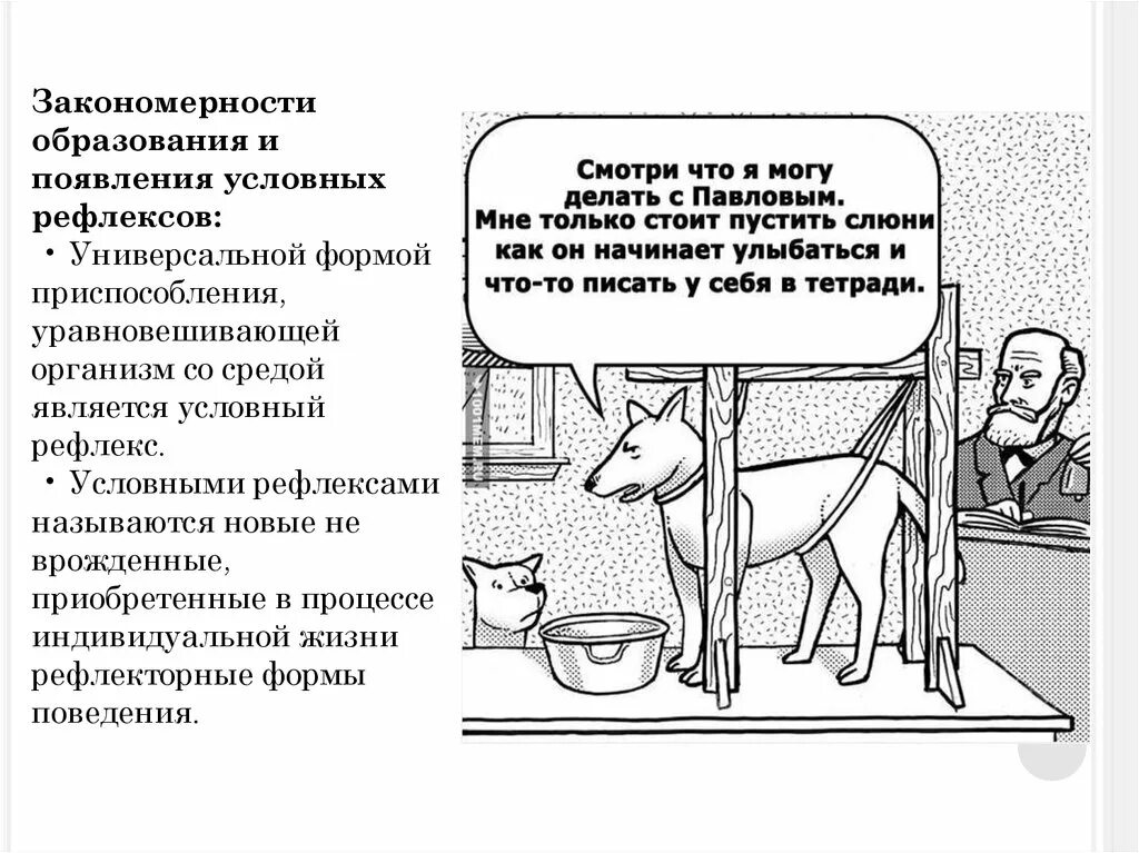 Классический метод условных рефлексов. Закономерности образования условных рефлексов. механизм формирования условного рефлекса. условные рефлексы лошади. условия условного рефлекса.