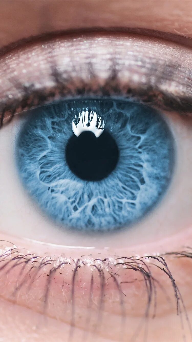 Голубые глаза. Синие глаза. Синий цвет глаз. Голубые глаза вблизи.