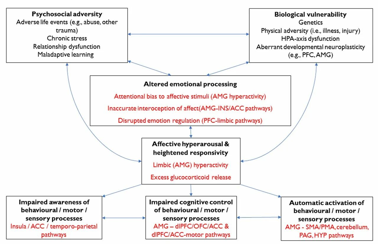 Emotional dysregulation. Cognitive processes. Adversity in adverse City. Controlling behavior