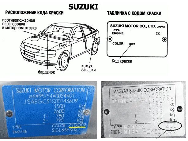Как определить код краски автомобиля. Табличка вин код сузуки гранд витара. suzuki grand vitara 2007 табличка с vin. код краски suzuki sx4. suzuki grand vitara табличка с кодом краски.