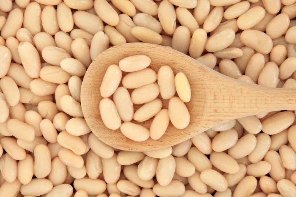 Mock bean