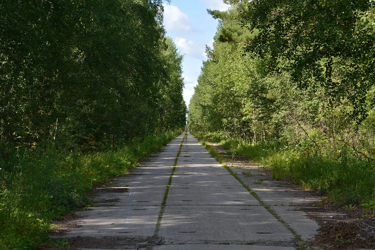 Армейская дорога. Грибановка бетонка. Дорога бетонка. Малая бетонка. Дорога бетонка Московская область.