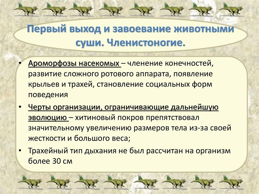 Освоение позвоночными животными суши. Ароморфозы членистоногих. Ароморфозы насекомых. Членистоногие ароморфозы. Ароморфозы насекомых примеры.