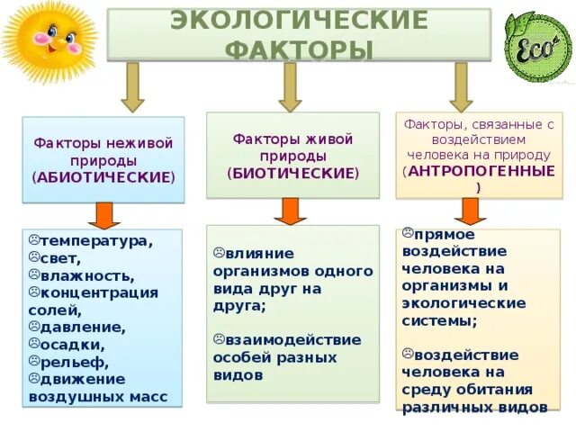 Совокупность факторов живой и неживой природы называют