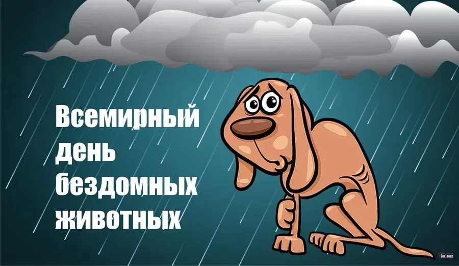 Всемирный день бездомных животных. 21 Августа день бездомных животных. День бездомных животных 2021. Всемирный день бездомных животных картинки.