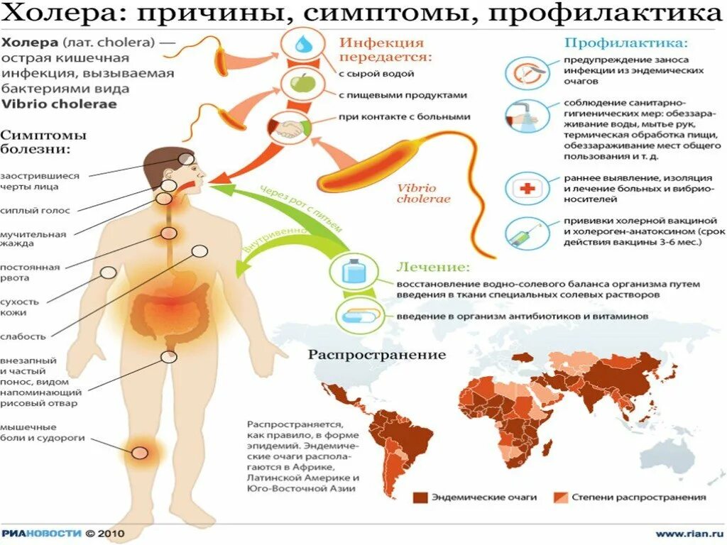 Схема заражения холерой. Холера возбудитель симптомы. Холера симптомы причины. Признаки заражения холерой. Холера отзывы