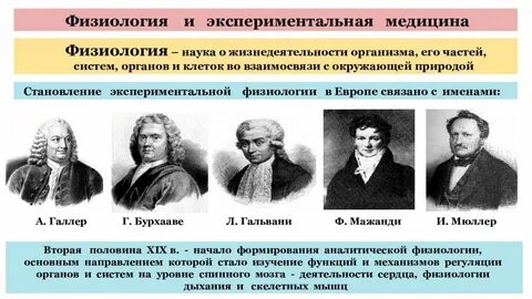 Научные физиологические школы