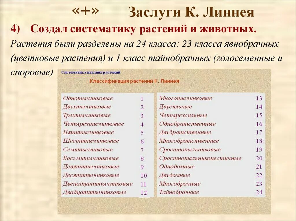 Систематика растений и животных по Линнею. Линней классификация животных