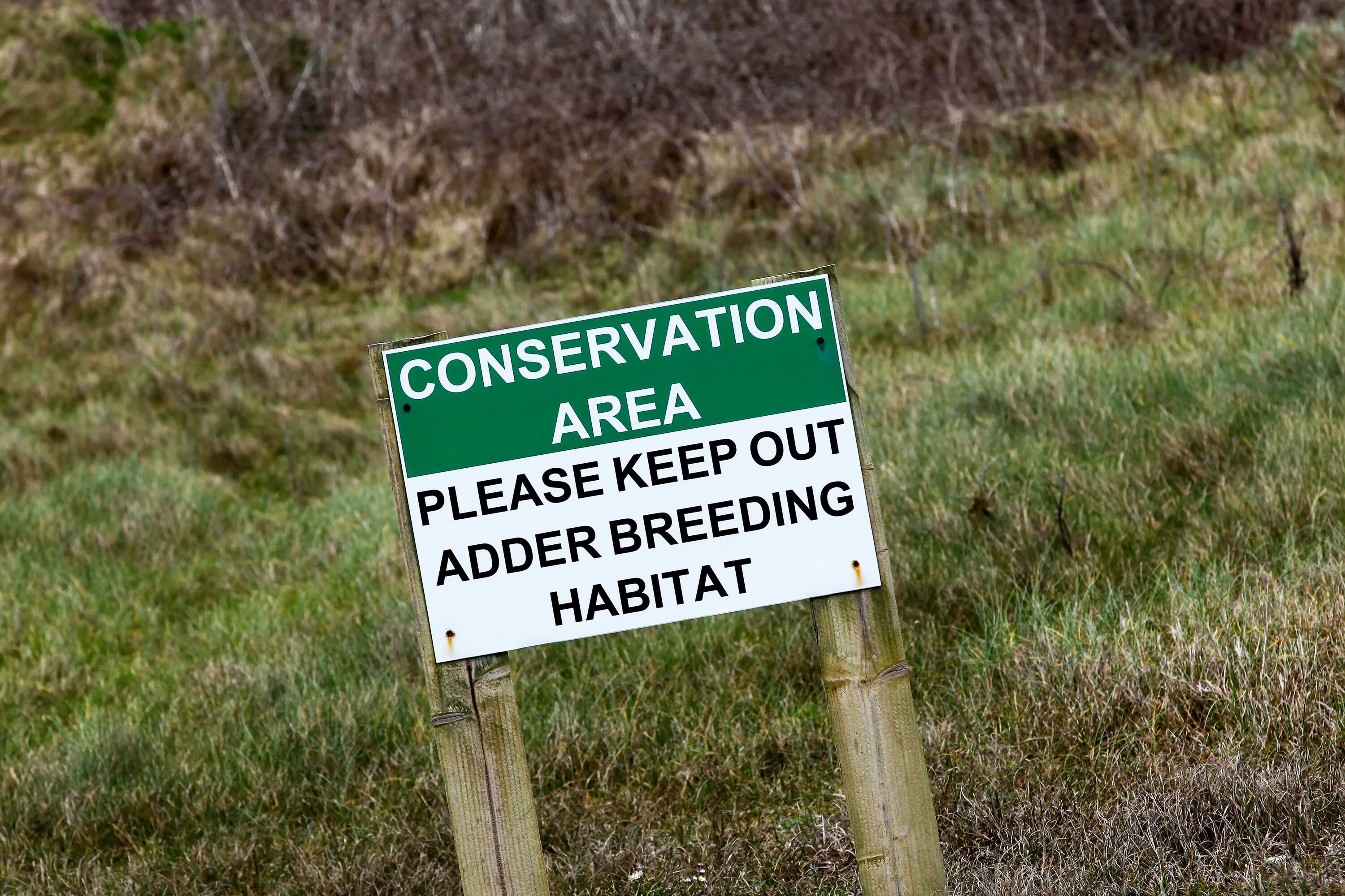 The conservation is about. Conservation area. ingilis conservation. example of conservation. conservation перевод.