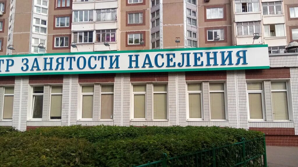 ярмарка вакансий. биржа труда зеленоград. биржа труда зеленоград. день открытых дверей в центре занятости. центр занятости населения зеленоград.