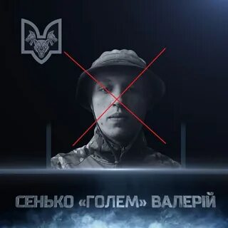 Волки да винчи