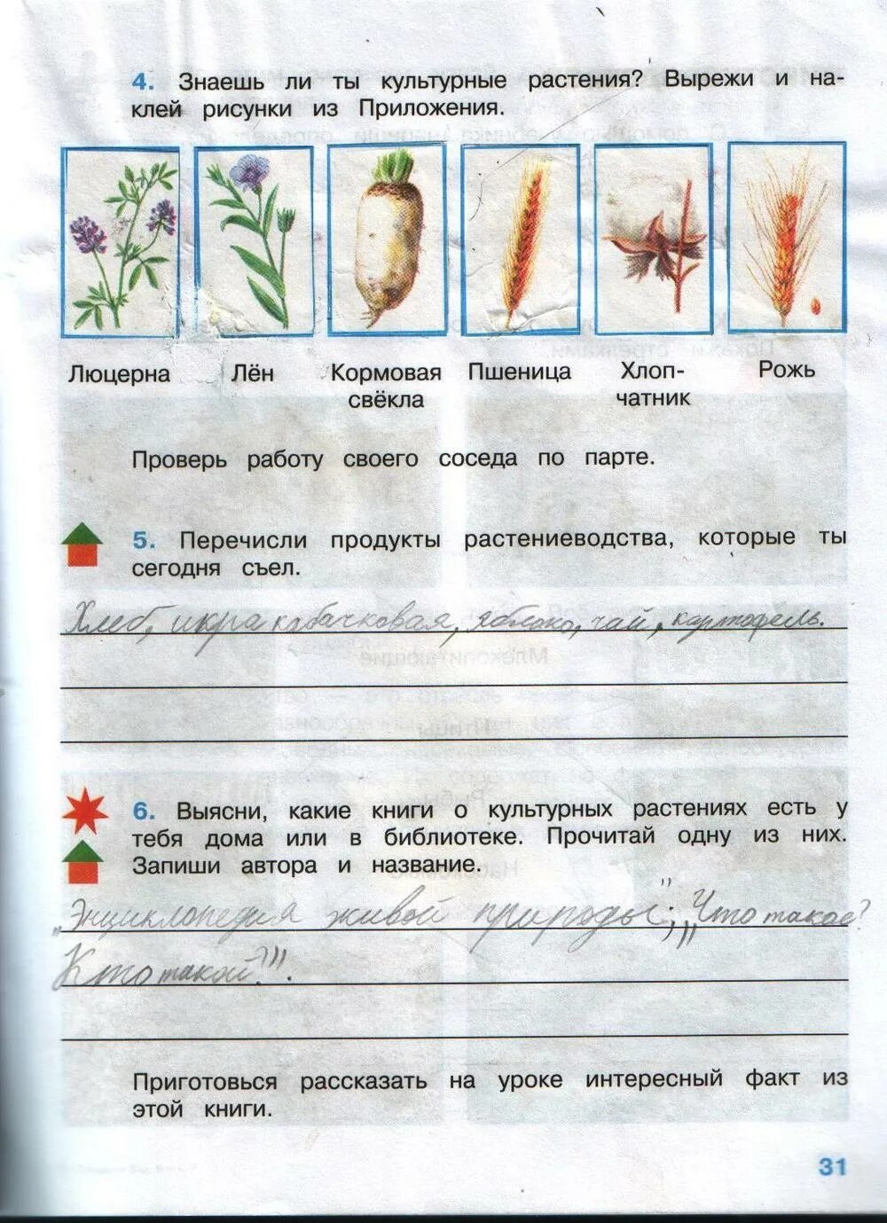 Растениеводства окружающий мир третий класс рабочая тетрадь. Окружающий мир 3 класс рабочая тетрадь 2 часть стр 33 номер 5 ответы. Окружающий мир 3 класс рабочая тетрадь 2 часть стр 33 номер 4 и5. Окружающий мир 3 класс рабочая тетрадь 2 часть Плешаков стр 34 номер 7. Окружающий мир 3 класс рабочая тетрадь 2 часть стр 33 номер 4.