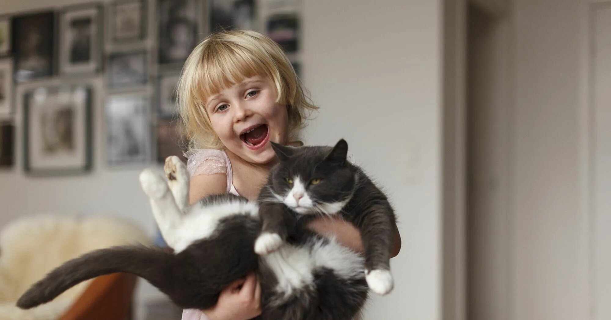 Кошка для детей. Девочка кошка 8 лет. Кошка девочка в реале. Котята мечта каждой девочки.