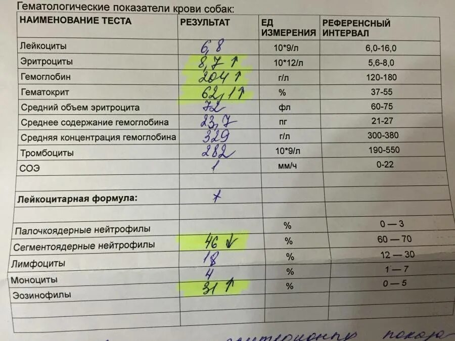 Аллергия по анализу крови показатели у детей. Общий анализ крови при аллергии у ребенка. Какие анализы при аллергии у детей. Нормы анализов крови кала у детей. Результаты анализа крови на аллергию.