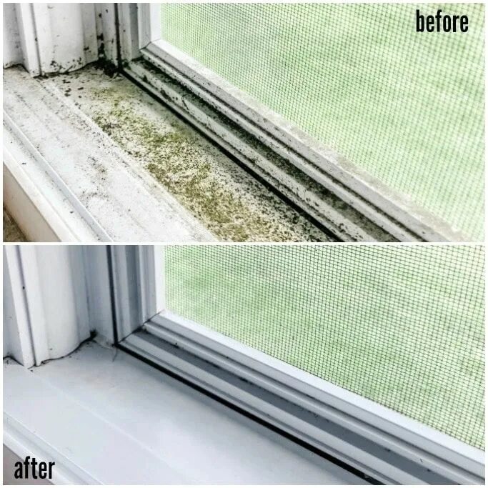 Track window