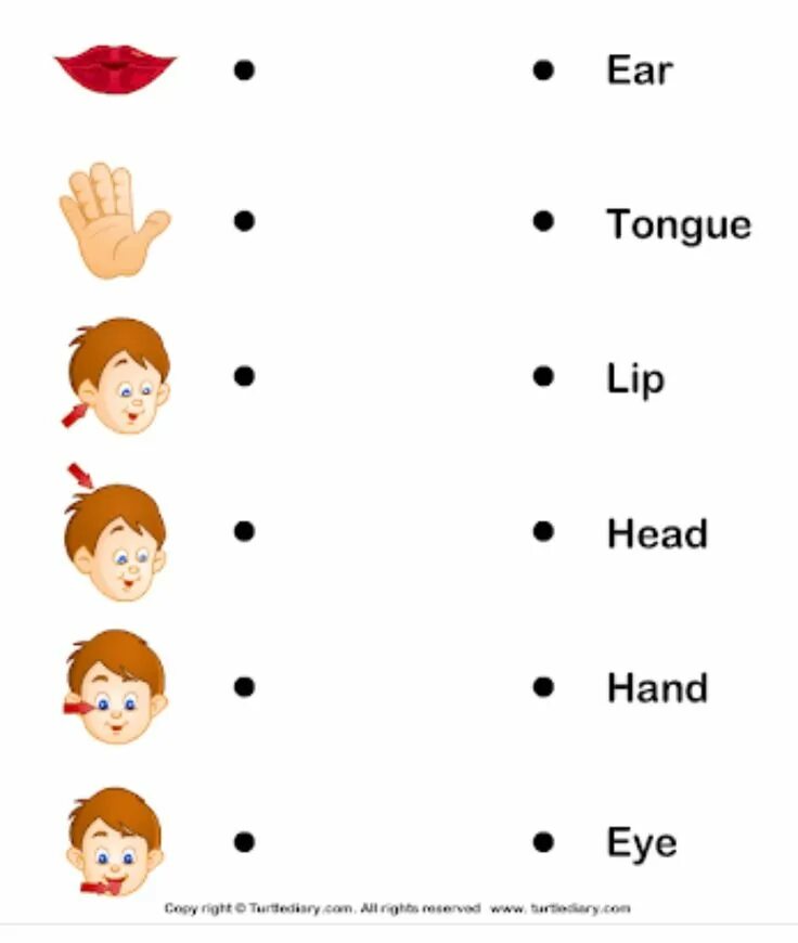 Части тела на английском для детей задания. Части тела на английском для детей упражнения. Упражнения части тела на английском языке для детей. Pflfybzчасти тела английский. Учим английский тесты