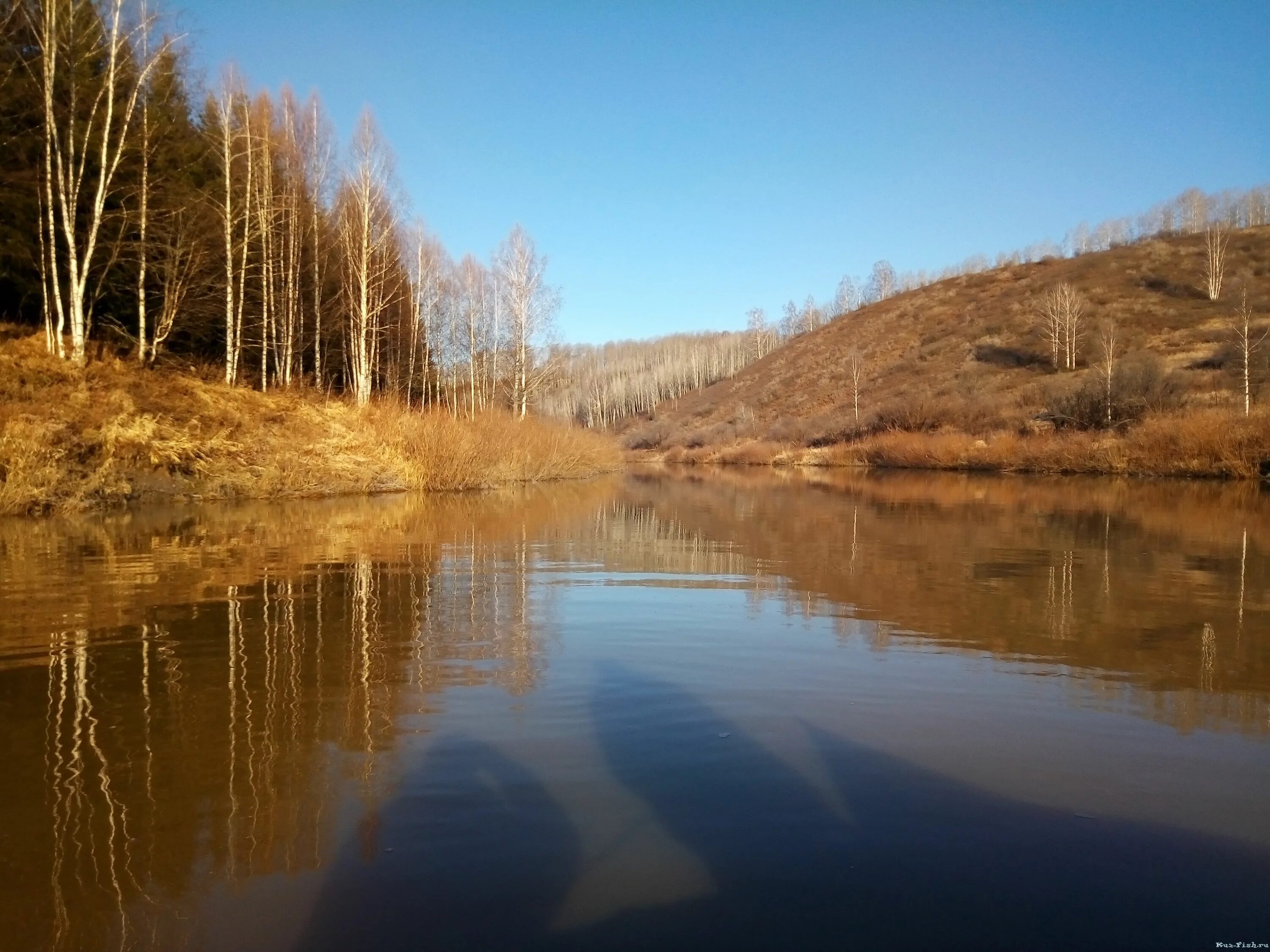 Куз фиш. Река Чумыш Прокопьевск. Река Чумыш Алтайский край. Река Чумыш Кемеровская область. Речка Чумыш в Алтайском крае.