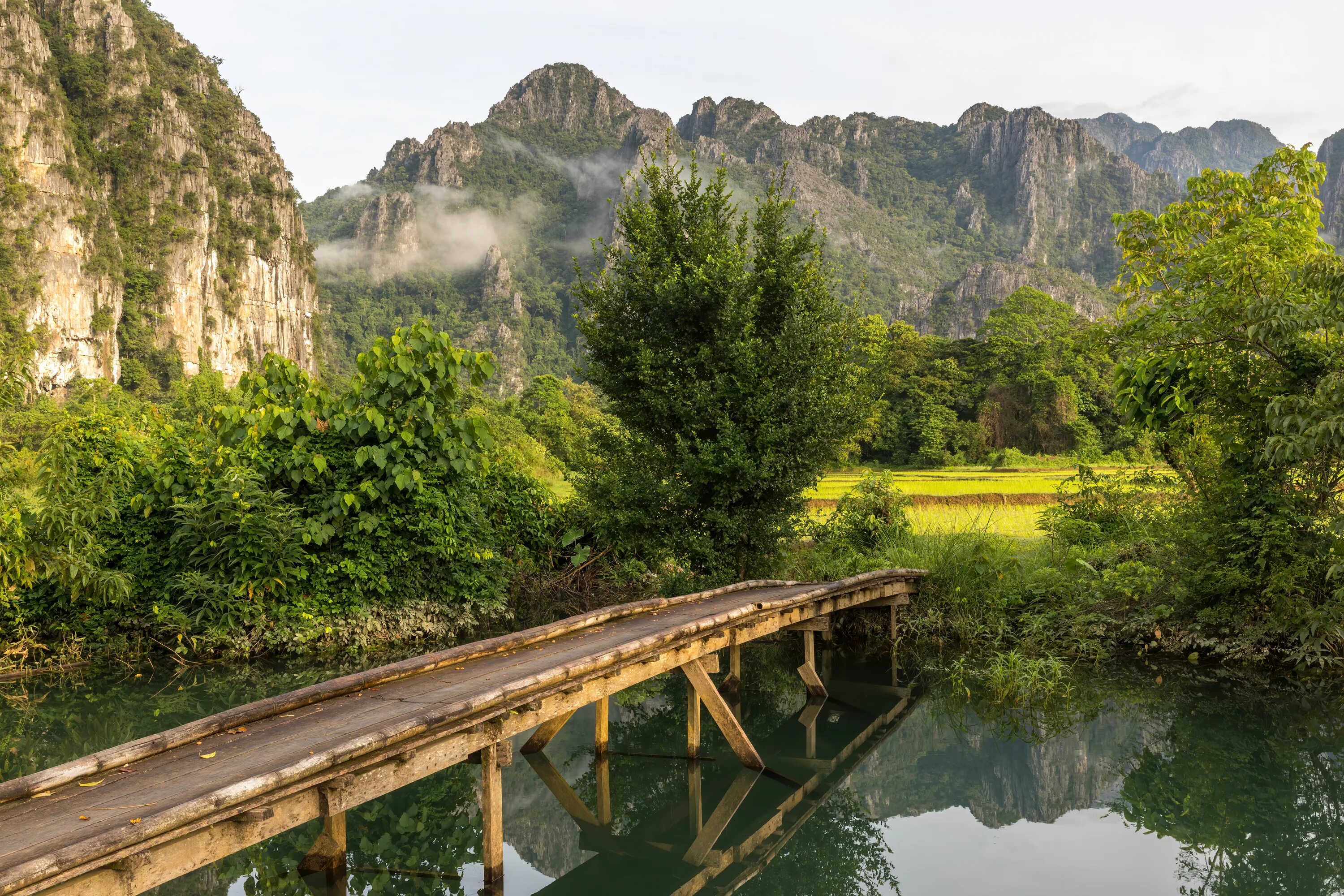 Лаос особенности страны. Лаос природа. Лаос горы. Vang Vieng Лаос. Рельеф Вьетнама.