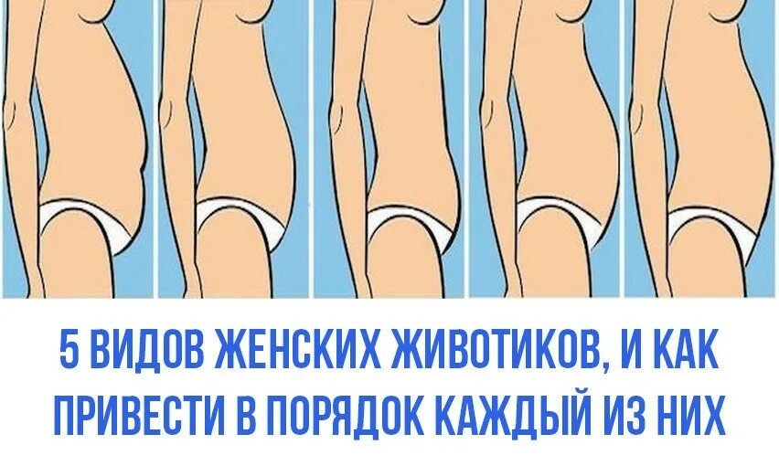 5 видов женских. Типы живота у женщин. типы женских животиков. 5 типов женских животиков. 5 видов женских животиков.