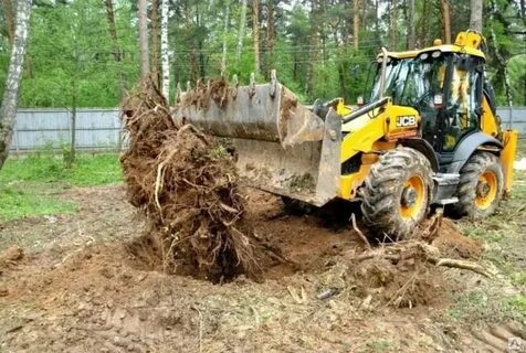Выкорчевывание деревьев область