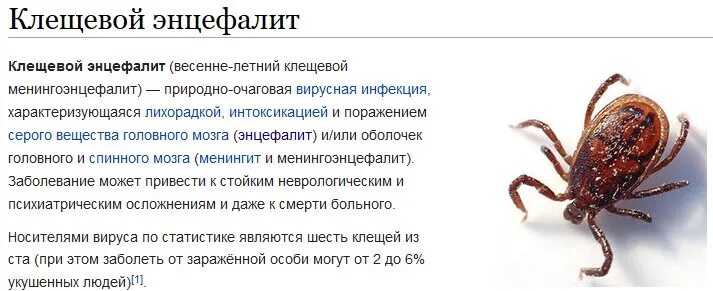 Опасен ли энцефалит. Как отличить энцефалитного клеща от обычного. Весенне-летний клещевой энцефалит симптомы. Энцефалитные клещи отличие от обычного. Энцефалитный клещ отличие.