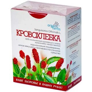 Корень кровохлебки