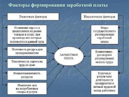 Социальная плата это