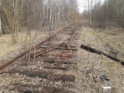Как жители тулы пытались узнать в чем