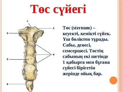 Эстрада жұлдыздарының секс қызметтерінің құны